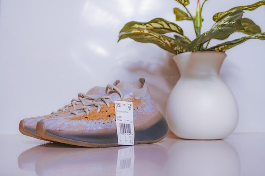 a white vase with a plant in it next to a pair of sneakers
