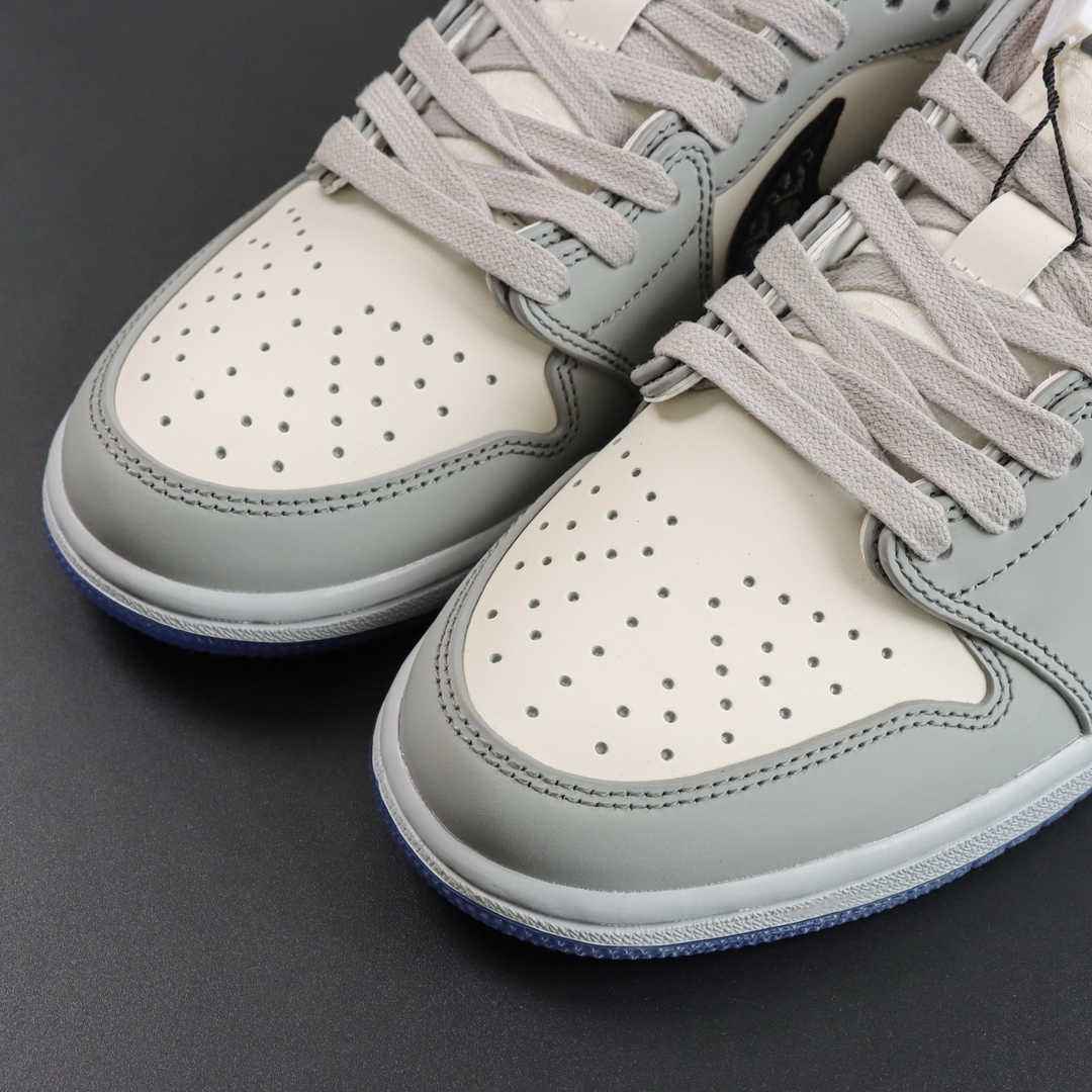 CD X NIKE AIR JORDAN 1