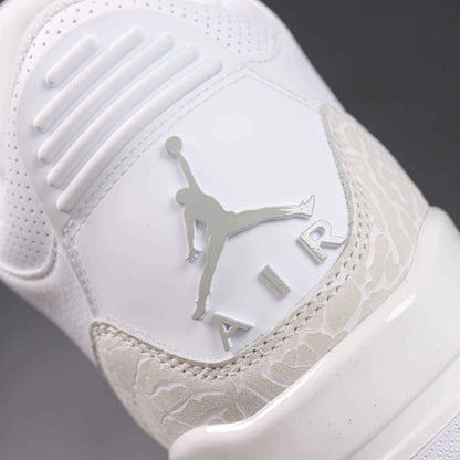 NIKE AIR JORDAN 3 Pure Money